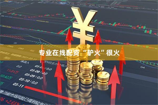 专业在线配资 “驴火”很火